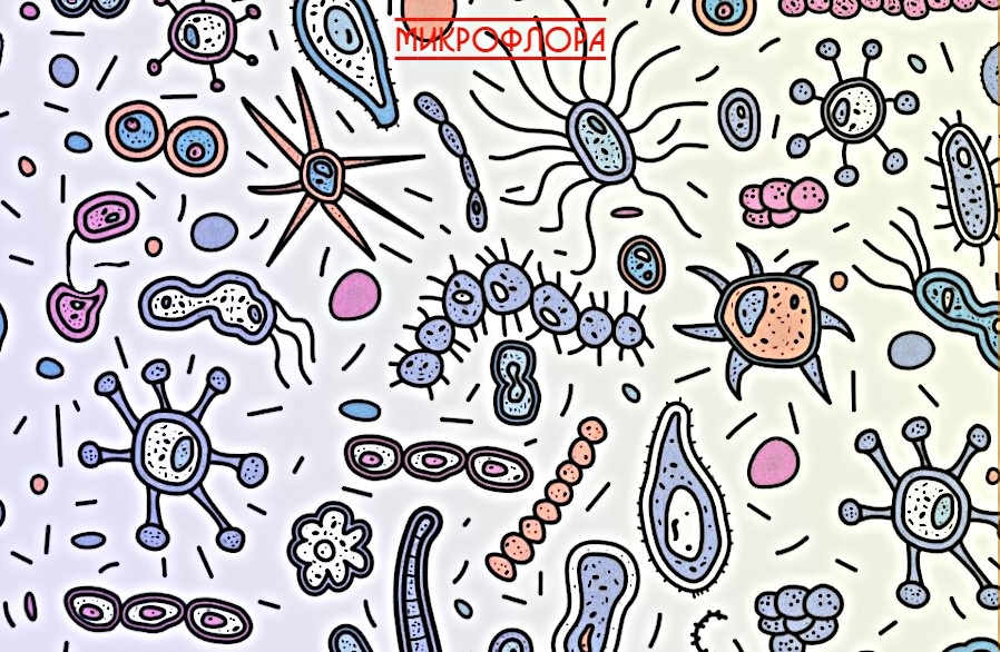 Важнейшее соседство