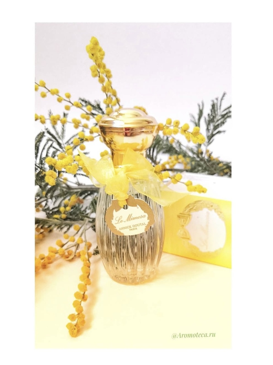 Верхние ноты: Мимоза, зеленые ноты, ирис и зеленый анис; 