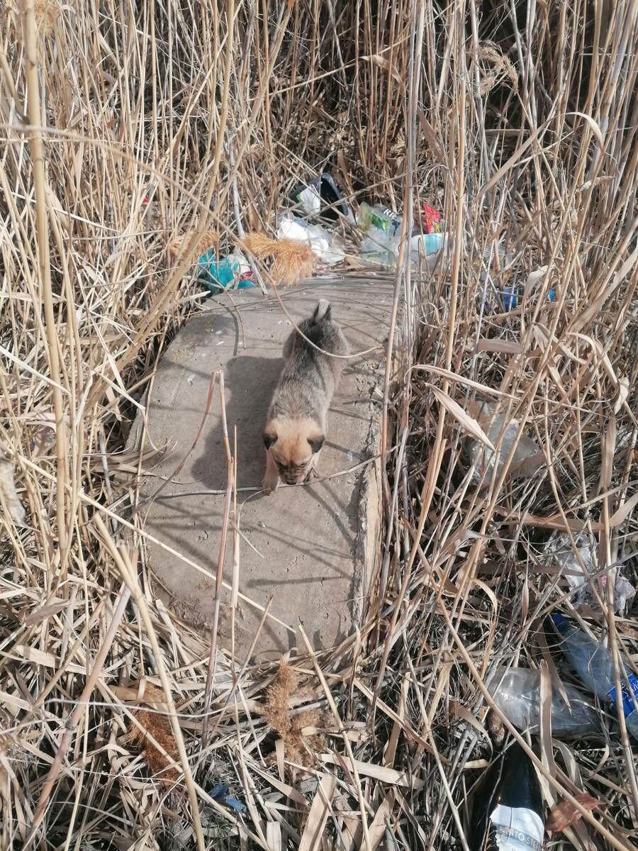 Крошку было едва видно