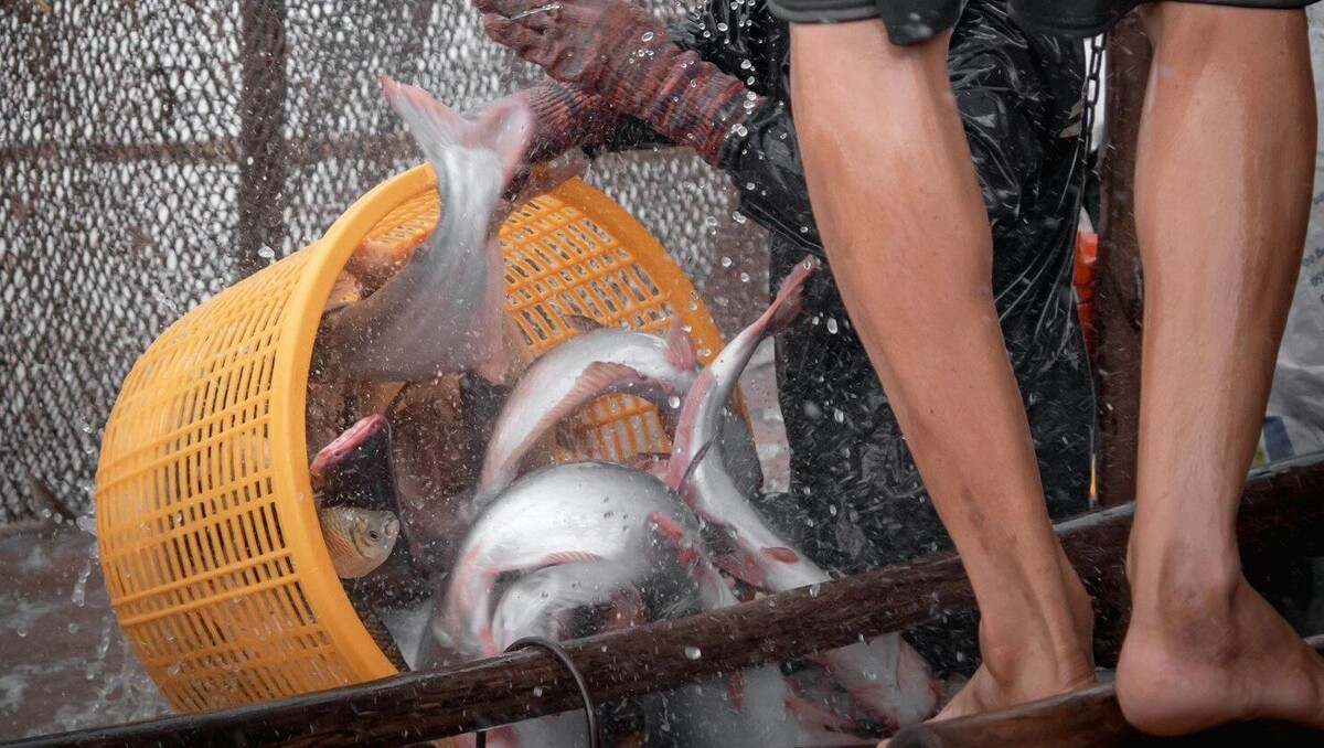     Автор: Unsplash