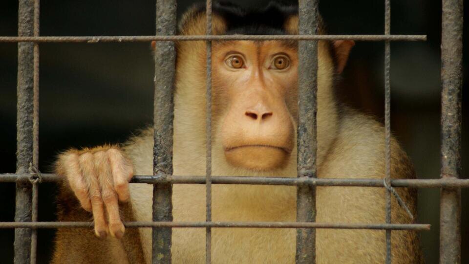 Фото: © Global Look Press/Ajun Ally/ZUMAPRESS.com