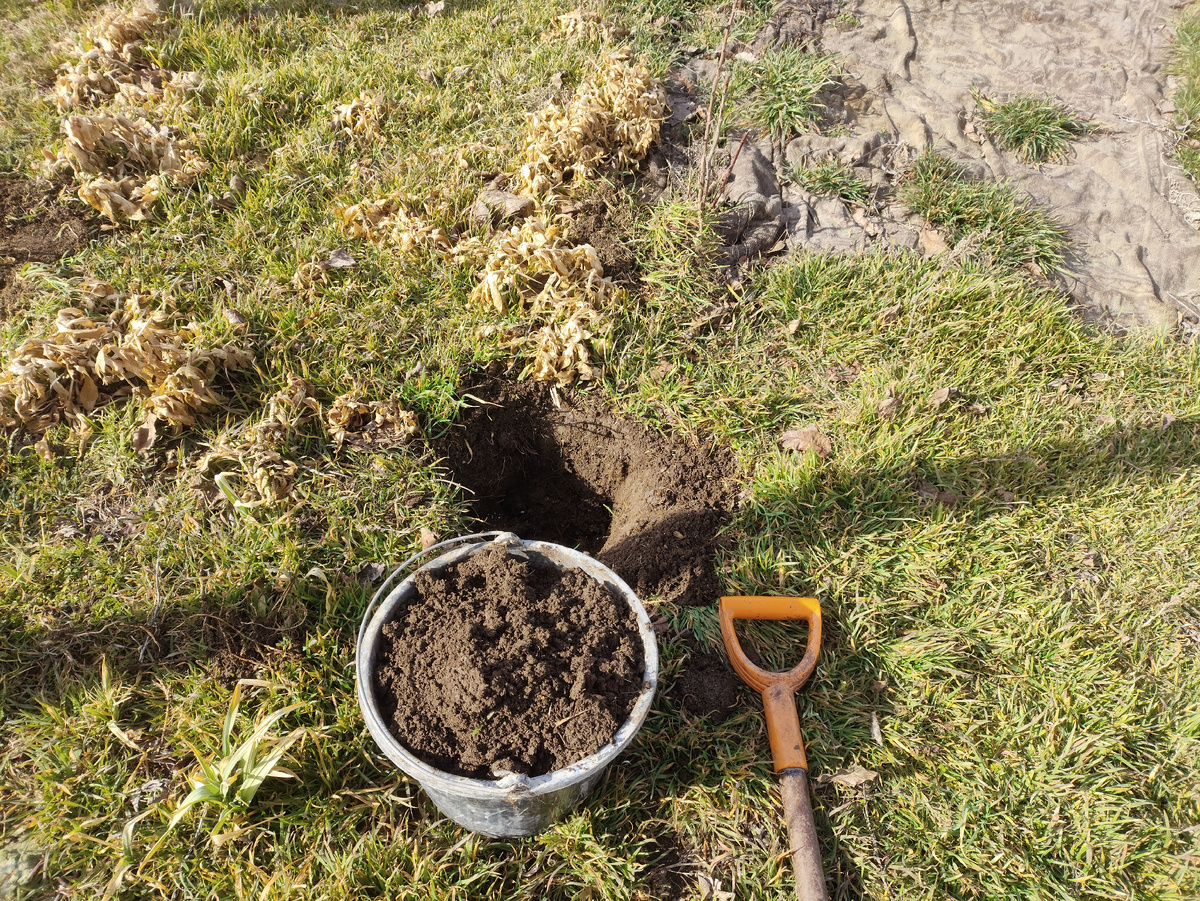 Первая ямка, под малину, готова