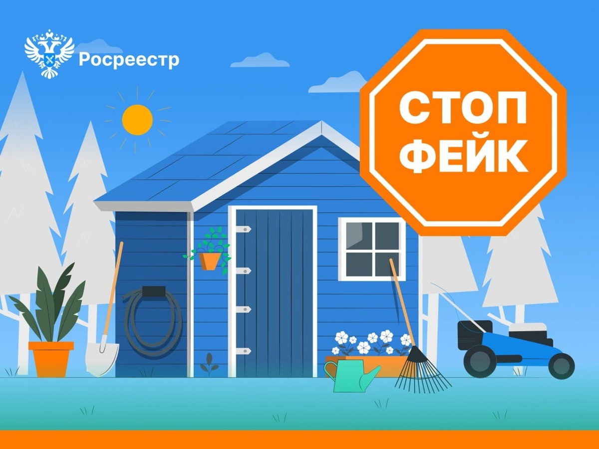 Найти свои налоги