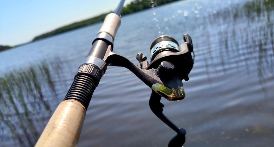    Maksim Konstantinov/Global Look Press / www.globallookpress.com