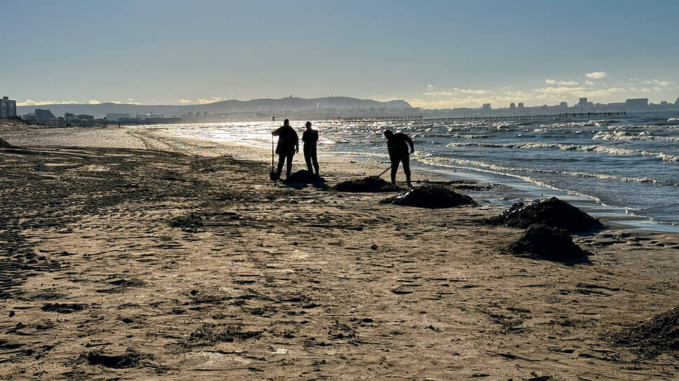 Фото: Александр Черных / Коммерсантъ