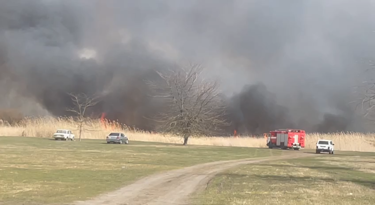 Фото: кадр видео