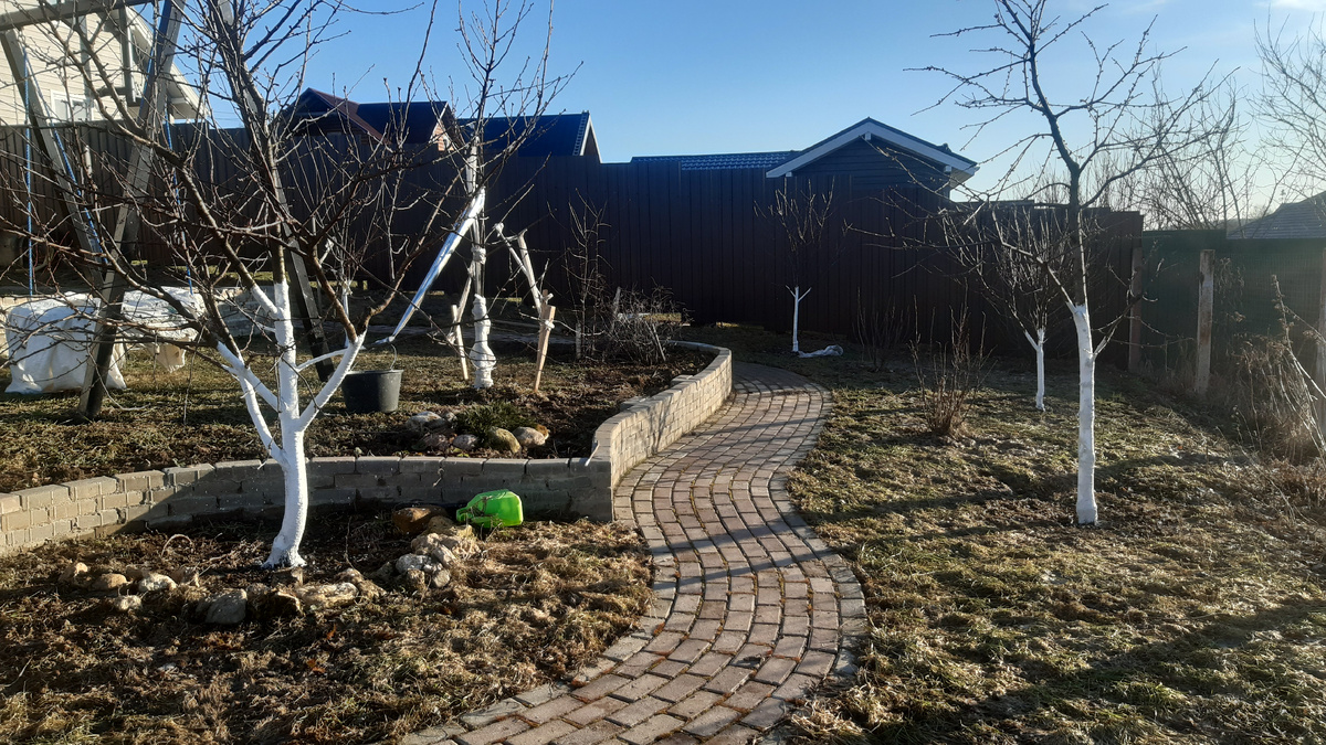 Побелка деревьев