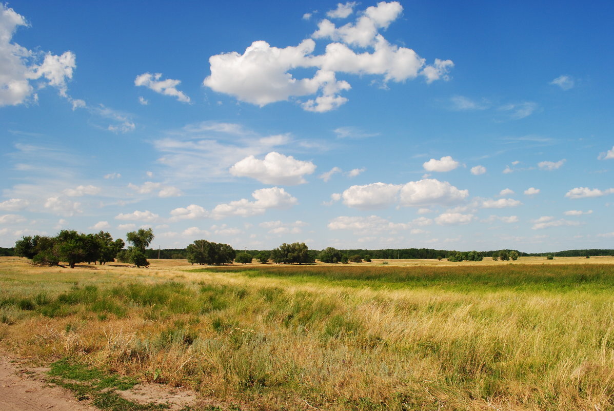 картинка из интернета