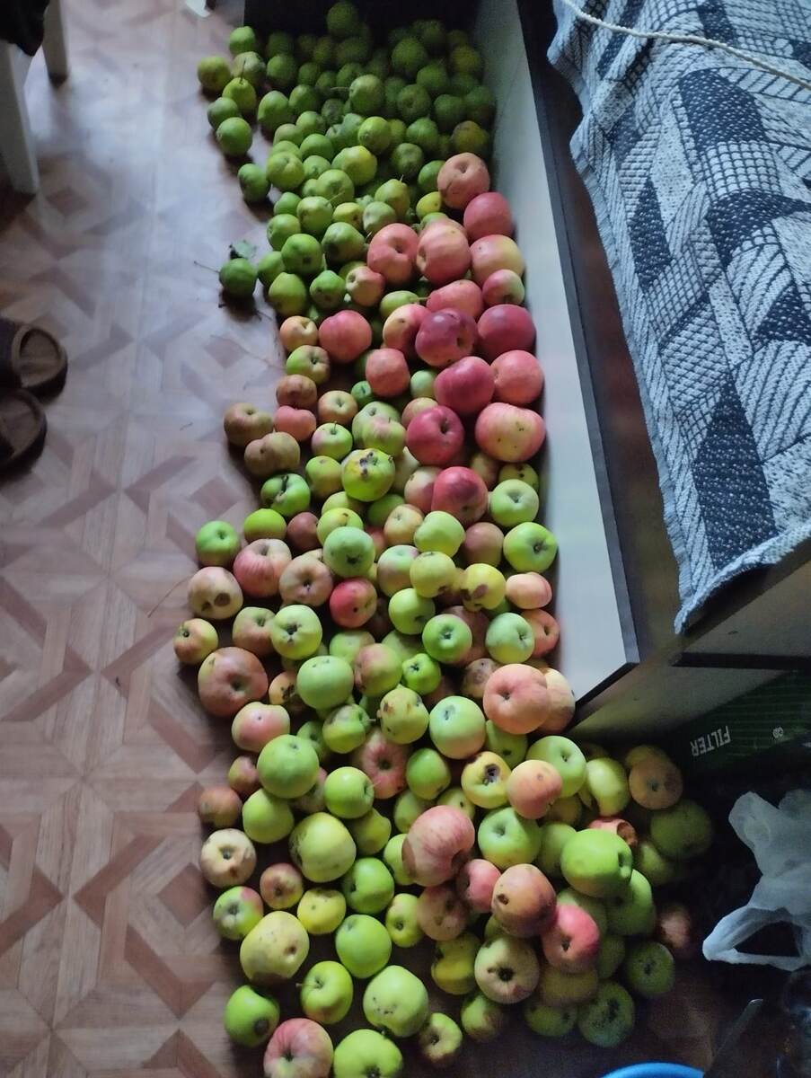 Фото от друзей для канала моего