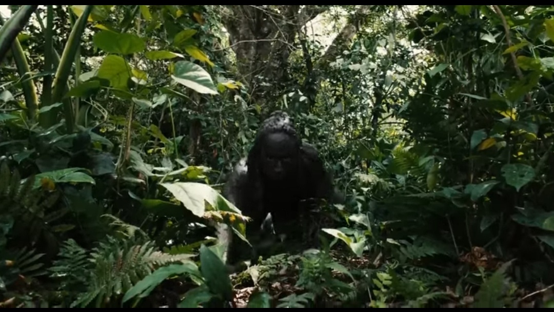 "Апокалипсис" (США, 2006 год)