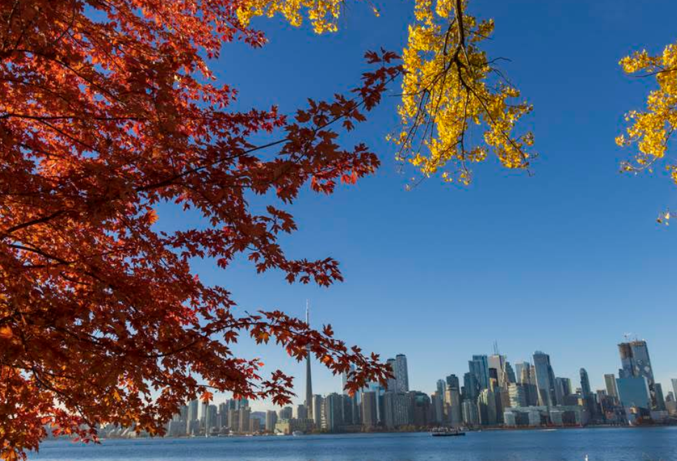 осенний Торонто, путешествие с детьми в Канаду