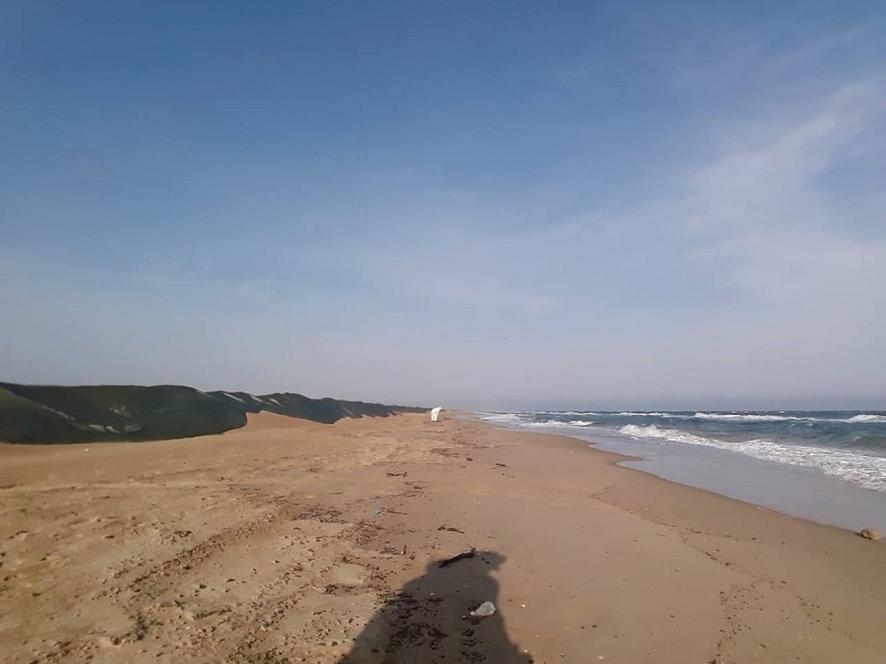    Фото: пресс-служба администрации Краснодарского края