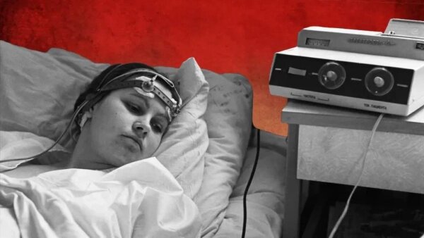 Коллаж © Life.ru, фото © ТАСС / Виталий Созинов, © Freepik