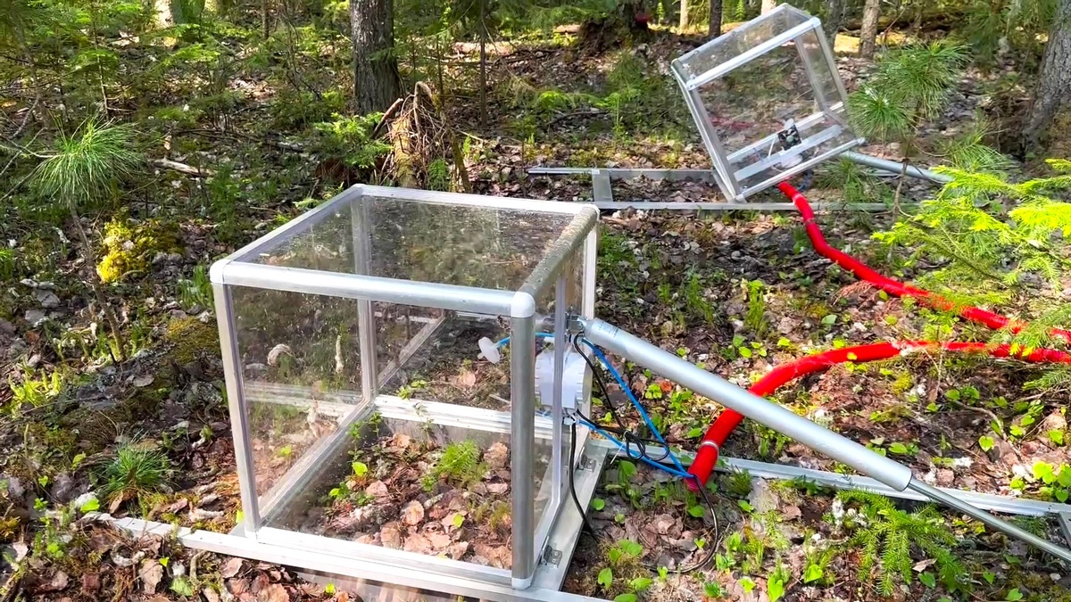    Учёные ЮГУ помогают коллегам из Москвы рассчитывать потоки парниковых газов