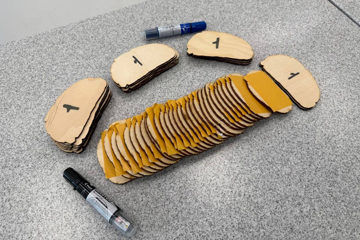 Модели бутербродов для опытов