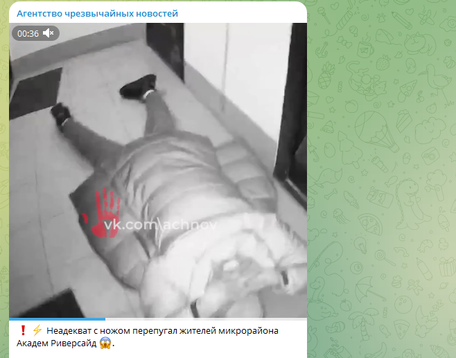    Скриншот ТГ-канала "Агентство чрезвычайных новостей".