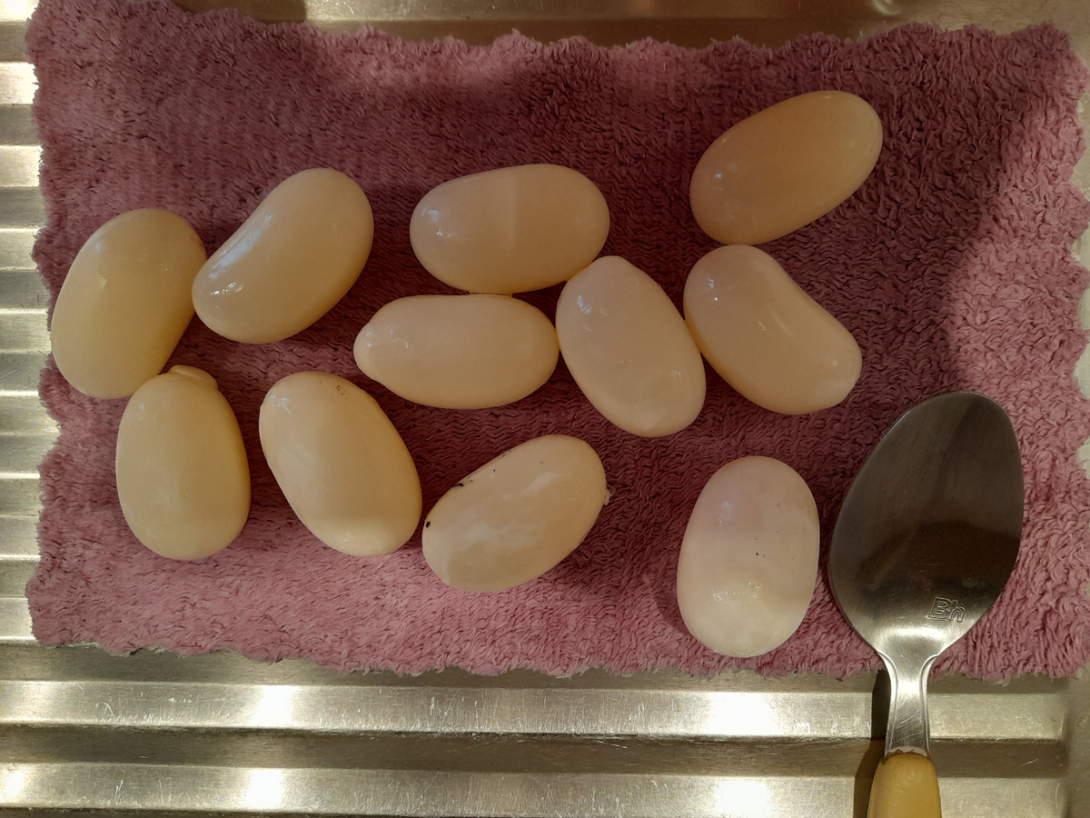 Бузи выложила яйца 11 шт. 12.03.25г.