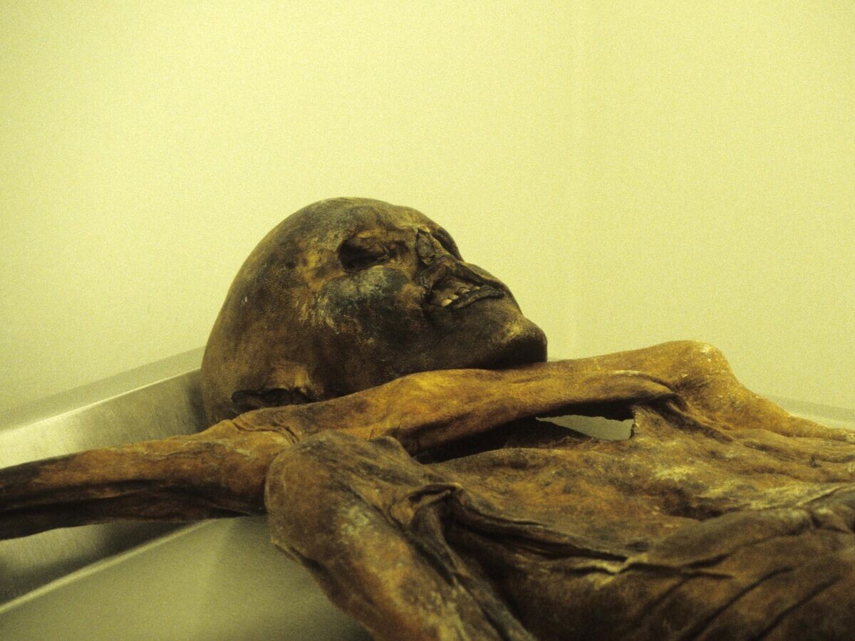    Мумия Этци (Отци) в археологическом музее Трентино — Альто-Адидже, Италия© Getty Images / Universal History Archive