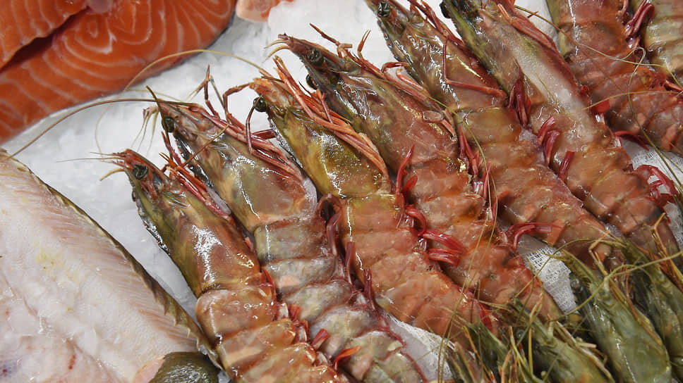 Фото: Александр Миридонов / Коммерсантъ