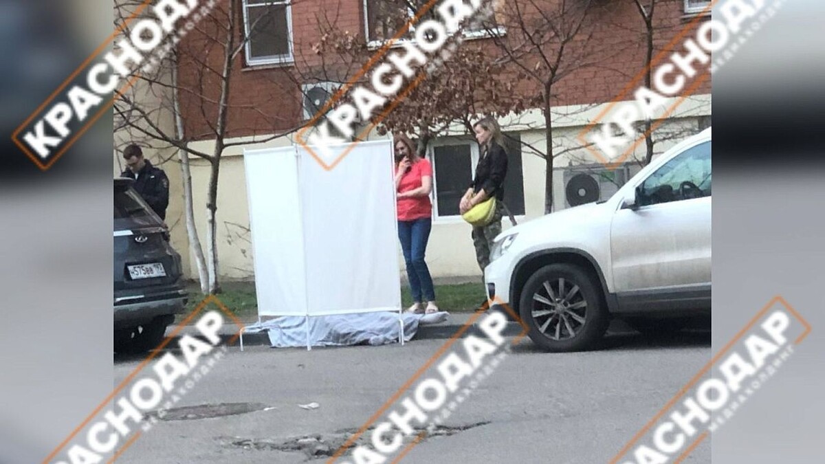    Фото: телеканал «Краснодар»