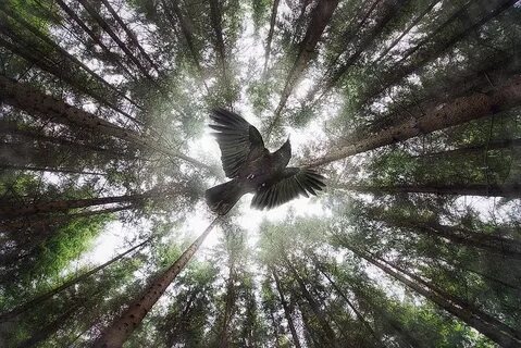 фото из интернета