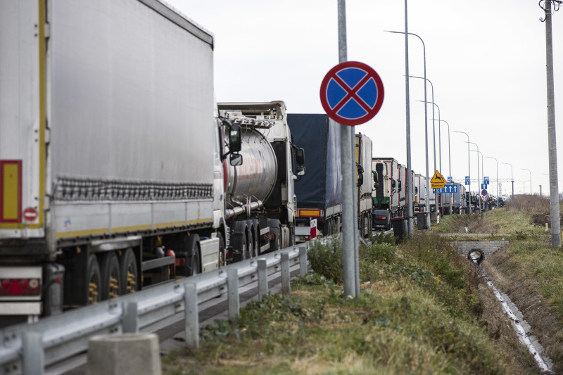    Attila Husejnow/Keystone Press Agency/Global Look Press