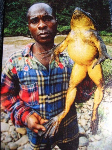 яндекс картинки