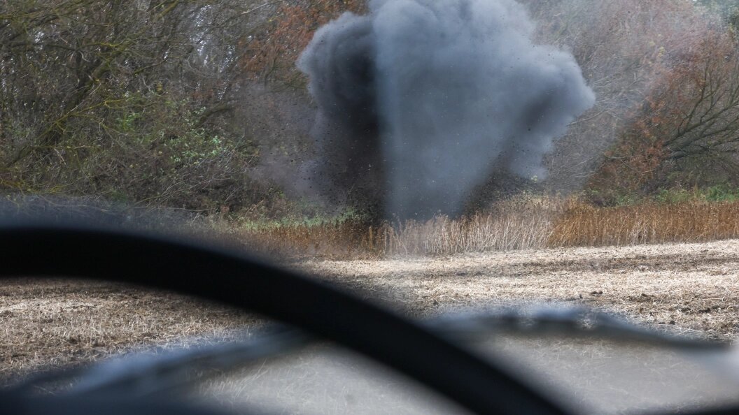    Фото: Shatokhina Natalya/Globallookpress