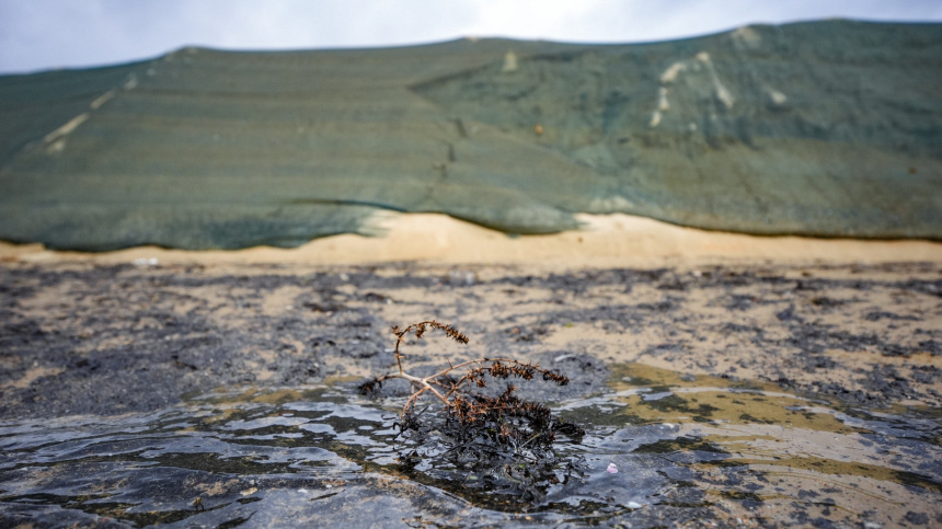    Фото: ИЗВЕСТИЯ/Сергей Лантюхов
