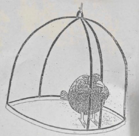 "Не бывает безвыходных ситуаций. Бывают ситуации, выход их которых тебя не устраивает"