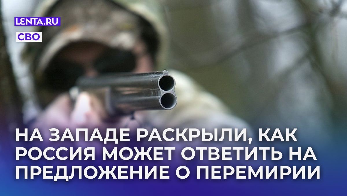 Фото: Nikolay Gyngazov / Globallookpress.com

