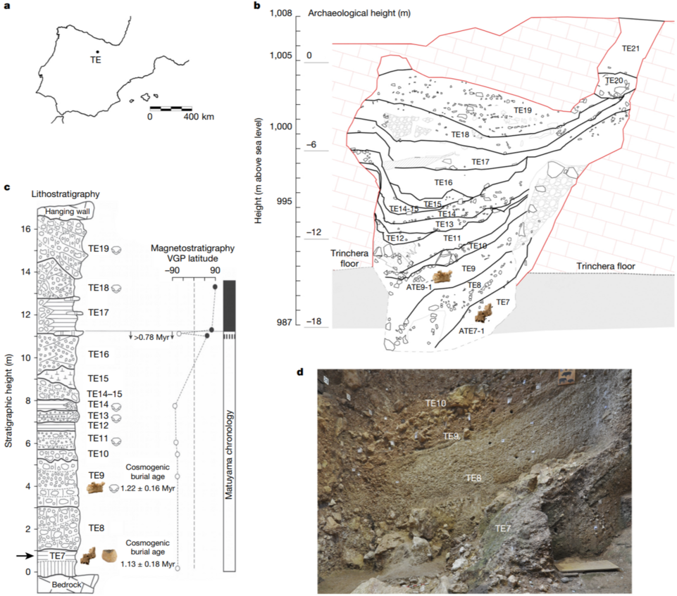   Rosa Huguet et al. / Nature, 2025