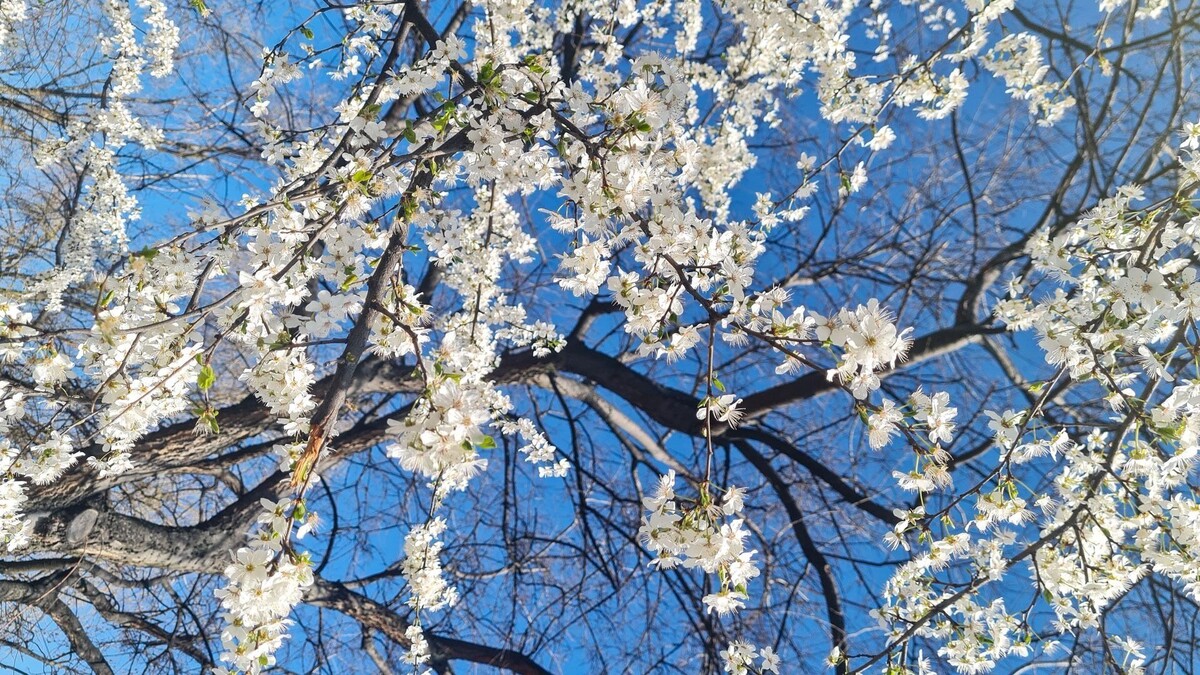     Источник: 1MI