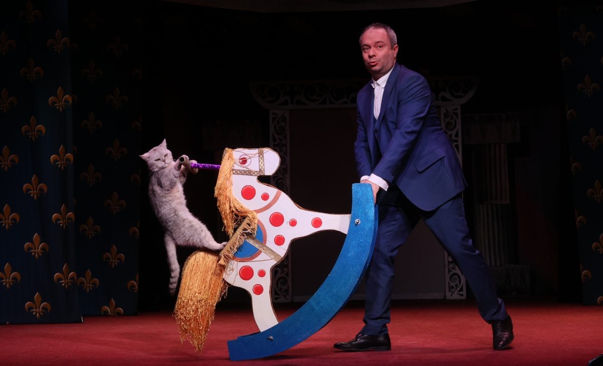    Каждый номер основан на дружбе и доверии человека и животных.