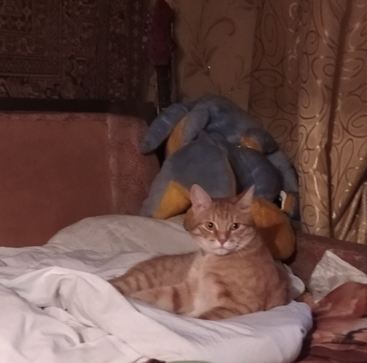 Личное  фото