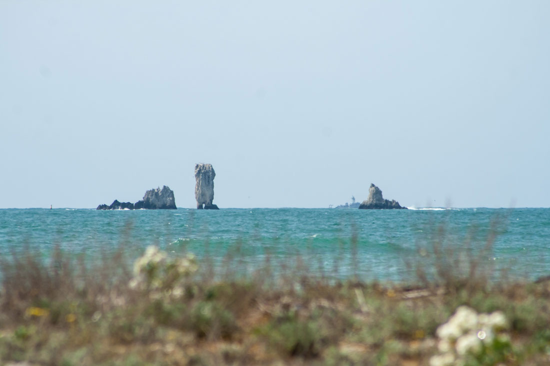 Фото взято с открытых источников.