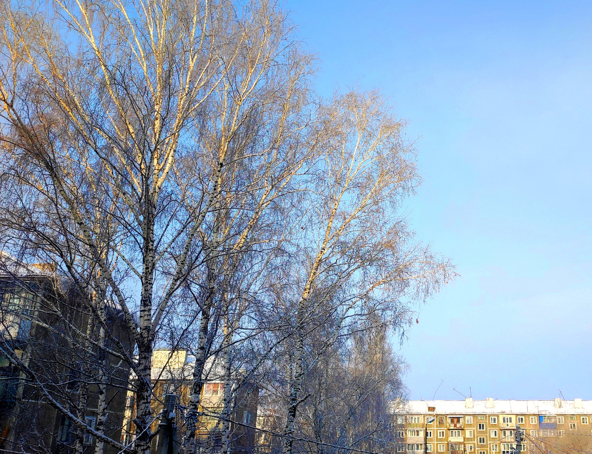 Солнечное морозное утро 