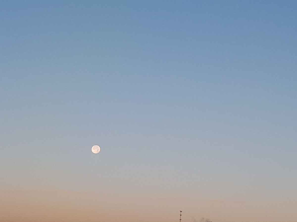 ЛИЧНОЕ ФОТО. Лето 2024г.