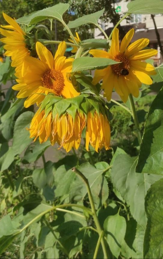 Личное фото. Лето 2024г.