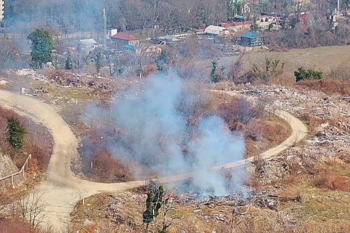    Сгорел лес.