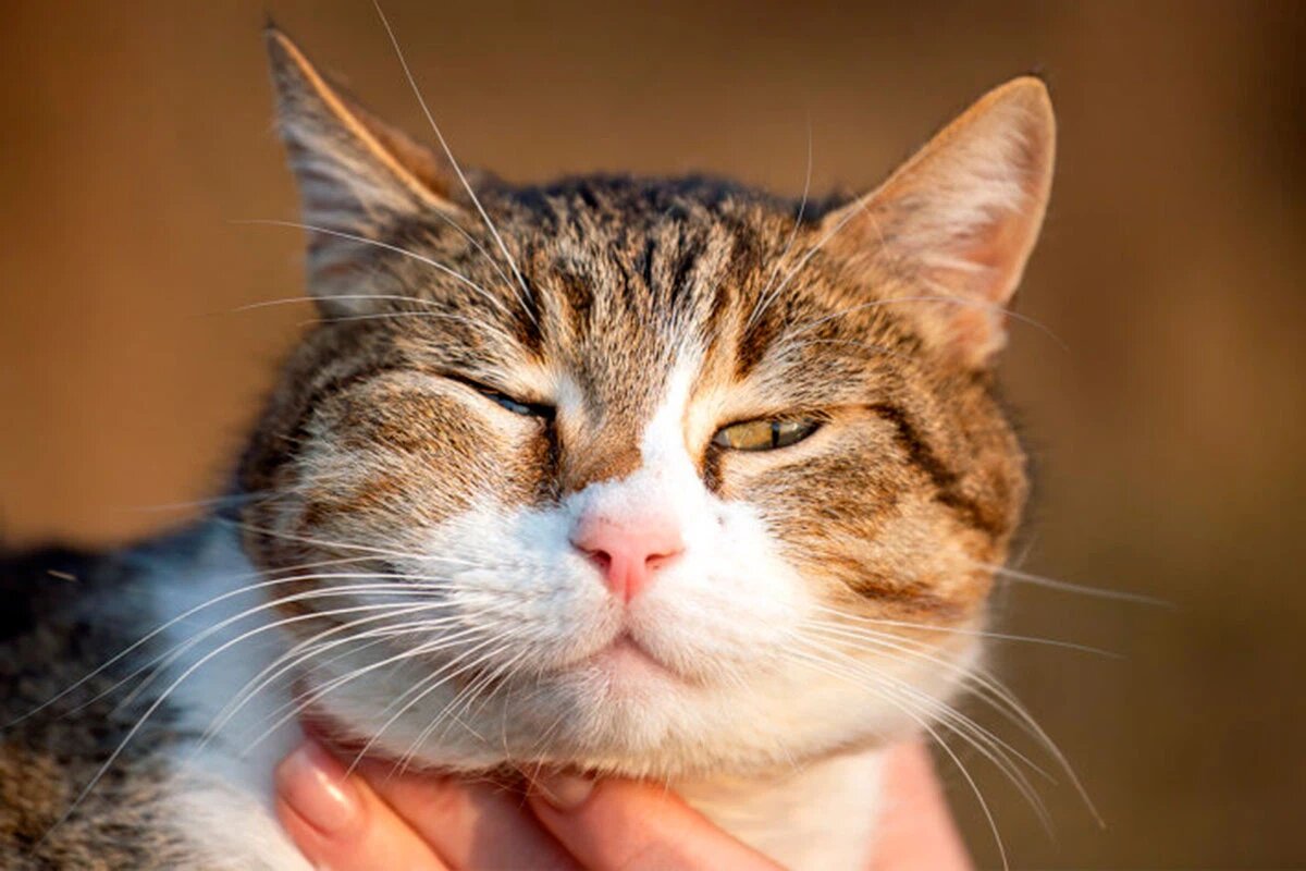    Фото: Виктор Северинцев / FishingBY.com