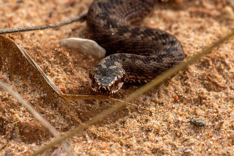    Фото: Виктор Северинцев / Fishingby.com