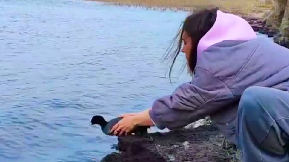 Фото: Оперативный штаб Краснодарского края