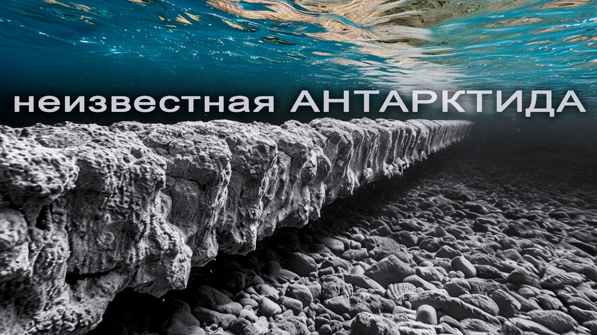 Иллюстрация автора. 