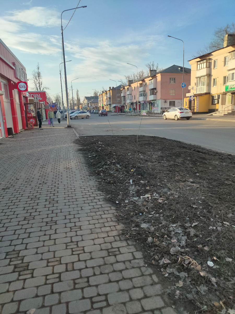 Погода сегодня