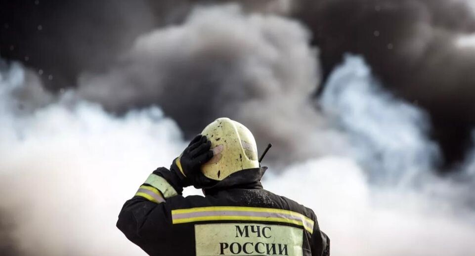    РИА «Новости»