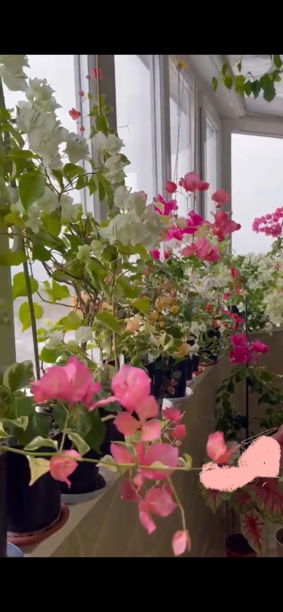 Фото из интернета, которое меня вдохновило