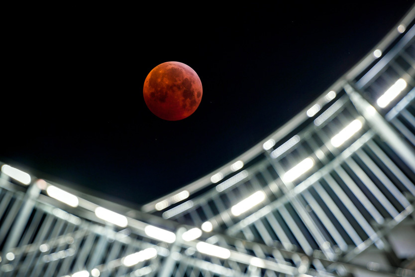    Фото: Sascha Steinbach / EPA / TASS