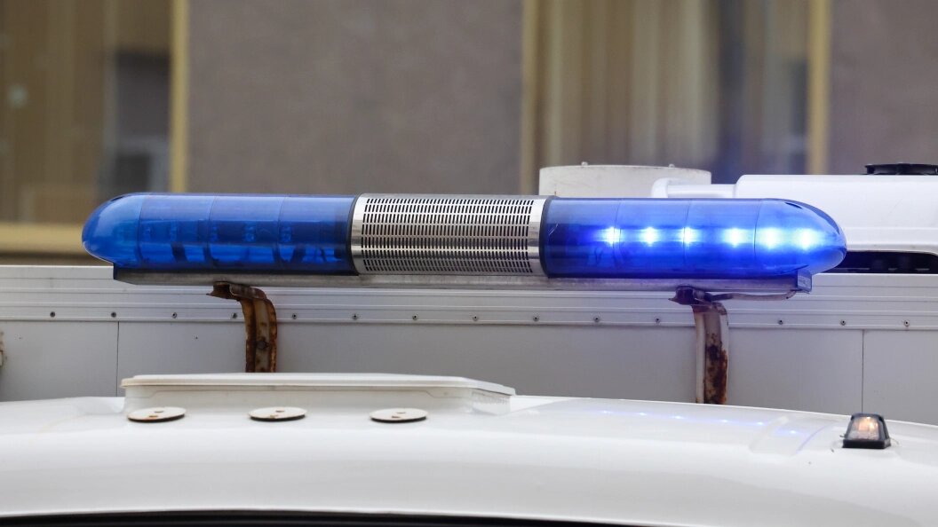    Фото: Belkin Alexey/Globallookpress