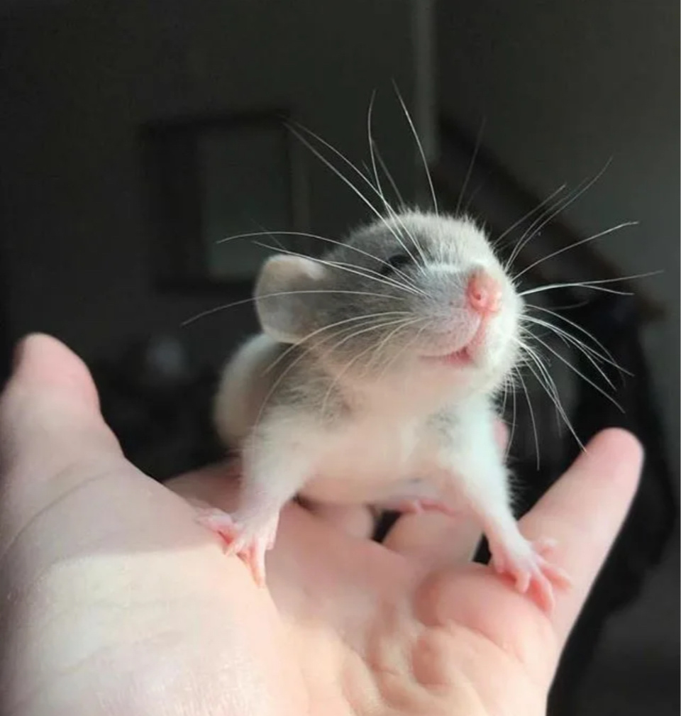 Яндекс.картинки для обложки